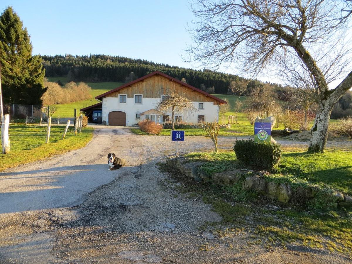 La Ferme Du Bonheur Bed & Breakfast Pierrefontaine-les-Varans Ngoại thất bức ảnh